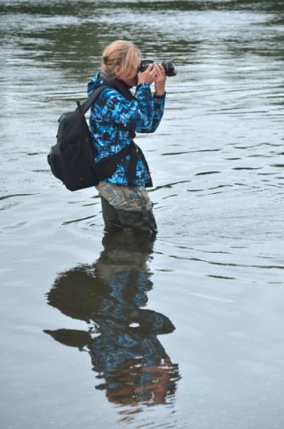Фестиваль 2012