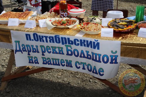Фестиваль 2013