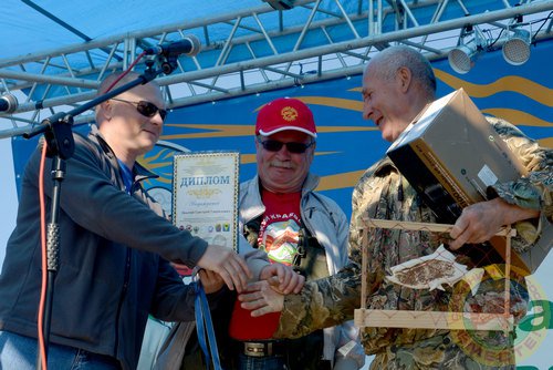 Фестиваль 2013