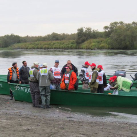Фестиваль 2014