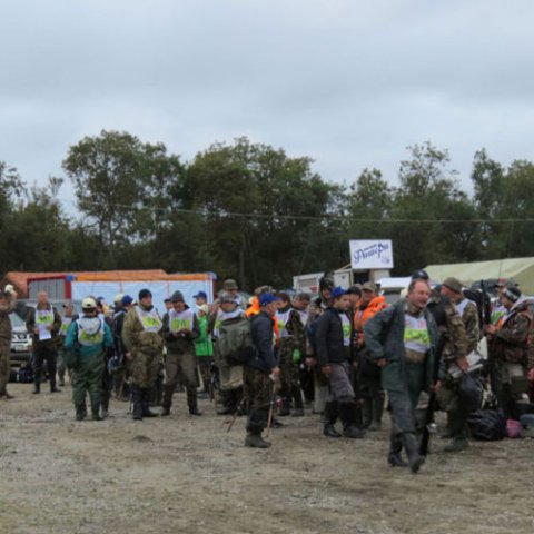 Фестиваль 2014