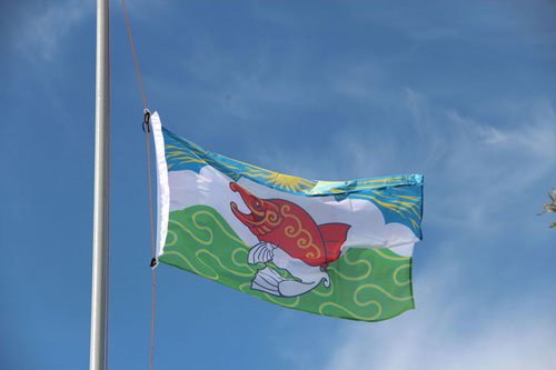 Фестиваль 2014